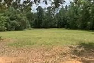 11792 Farrell Rd, Willis, TX 77378 - Photo 17