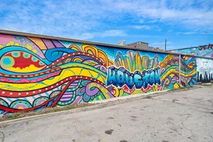 118 N Hutcheson St, Houston, TX 77003 - Photo 23