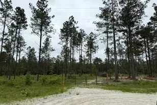 00 Richardson Road E, Livingston, TX 77351 - Photo 1