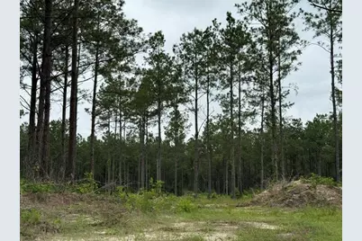 00 Richardson Road E, Livingston, TX 77351 - Photo 3