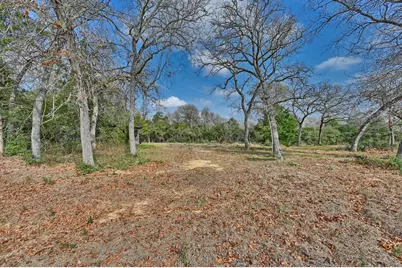 25504 Squirrel Road, New Ulm, TX 78950 - Photo 21