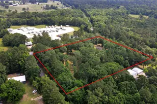 21765 Bailey Grove Rd, Montgomery, TX 77356 - Photo 5