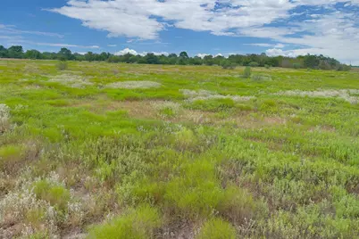 0000A Battle Road, Kendleton, TX 77451 - Photo 5