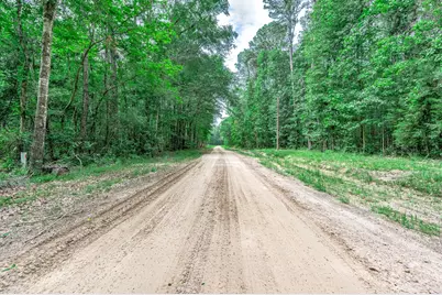 51 N Winter Creek, Cleveland, TX 77328 - Photo 29