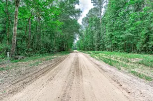 51 N Winter Creek, Cleveland, TX 77328 - Photo 29