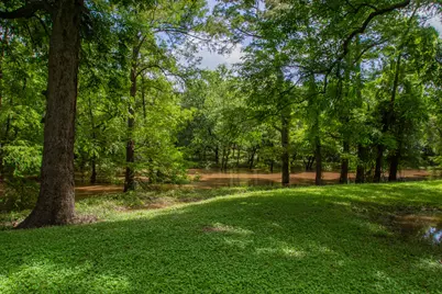 11935 County Road 170, Boling, TX 77420 - Photo 3