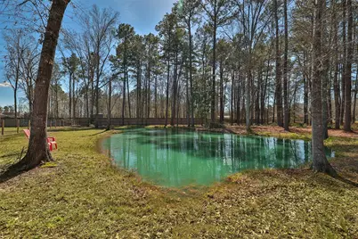 27627 Concho Drive, Splendora, TX 77372 - Photo 33