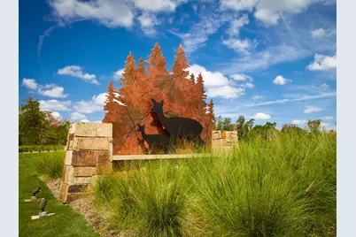 579 Cypress Valley Avenue, Montgomery, TX 77316 - Photo 15