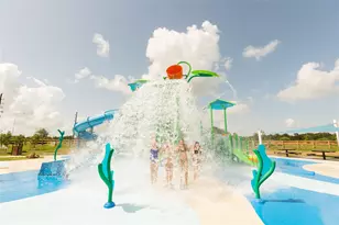 1010 Blue Stone Dr, Beasley, TX 77417 - Photo 29