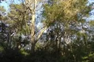 11404 Metts Rd, Conroe, TX 77306 - Photo 5