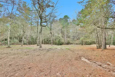 Split A Tall Pine Road, Navasota, TX 77868 - Photo 5