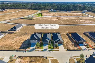 20943 Carob Tree Ln, Tomball, TX 77377 - Photo 3