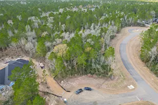 4908 Sierra Blanca Ct, Montgomery, TX 77316 - Photo 5