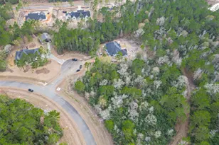 4908 Sierra Blanca Ct, Montgomery, TX 77316 - Photo 1