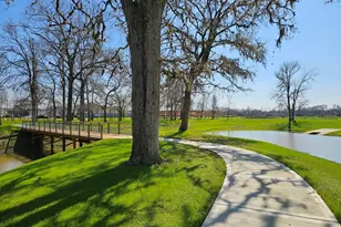 32441 Forktail Lk Dr, Fulshear, TX 77423 - Photo 43