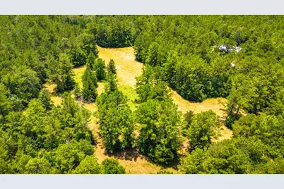 0000 Fm-942, Livingston, TX 77351 - Photo 7