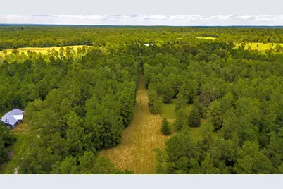 0000 Fm-942, Livingston, TX 77351 - Photo 3