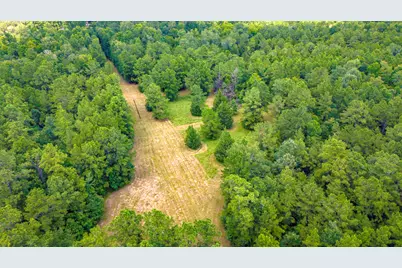 0000 Fm-942, Livingston, TX 77351 - Photo 9
