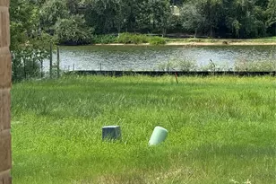 13256 Lake Conroe Bay Rd, Willis, TX 77318 - Photo 1