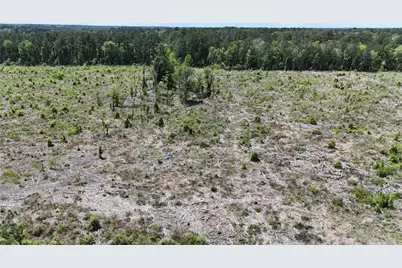 2600 County Road 4800, Warren, TX 77664 - Photo 17