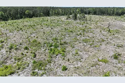 2600 County Road 4800, Warren, TX 77664 - Photo 9