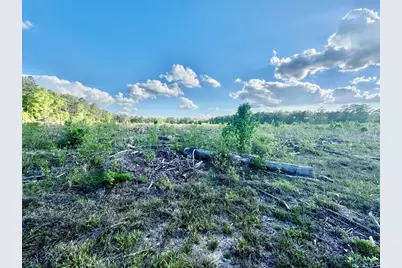 2600 County Road 4800, Warren, TX 77664 - Photo 41