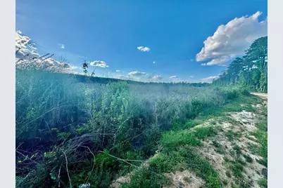 2600 County Road 4800, Warren, TX 77664 - Photo 45