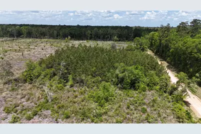 2600 County Road 4800, Warren, TX 77664 - Photo 1