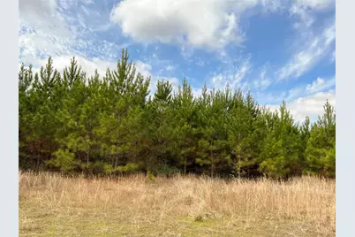7 Fm 1746, Spurger, TX 77660 - Photo 13