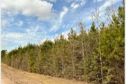 7 Fm 1746, Spurger, TX 77660 - Photo 3