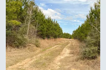 7 Fm 1746, Spurger, TX 77660 - Photo 11