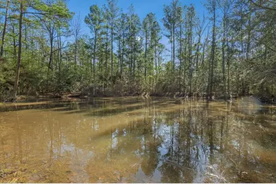 893 Capps Road, Huntington, TX 75949 - Photo 25