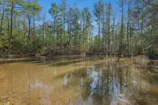 893 Capps Rd, Huntington, TX 75949 - Photo 25