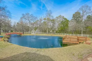 7519 Red Bay Cir, Magnolia, TX 77354 - Photo 41