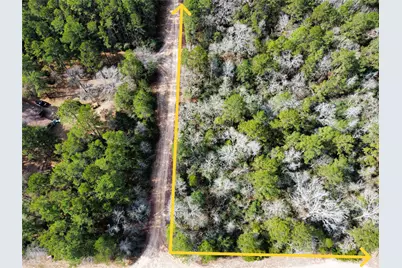 0 Old Little Road, Conroe, TX 77303 - Photo 5