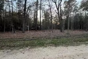 0 Deer Trl Trail, Livingston, TX 77351 - Photo 1