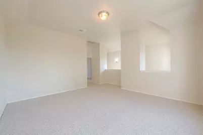 1119 Palmer Street, Houston, TX 77003 - Photo 21