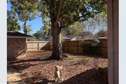 8211 Braes Meadow Drive, Houston, TX 77071 - Photo 31