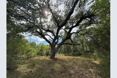 0 County Road 28, Angleton, TX 77515 - Photo 17