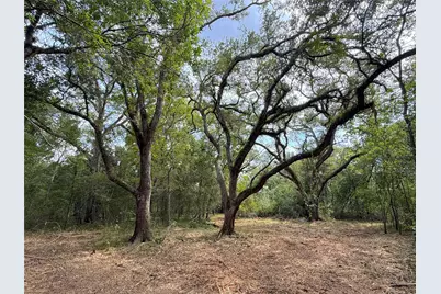 0 County Road 28, Angleton, TX 77515 - Photo 7
