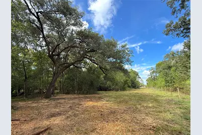 0 County Road 28, Angleton, TX 77515 - Photo 19