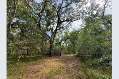0 County Road 28, Angleton, TX 77515 - Photo 9