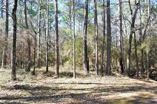 3 Magnolia Ct, Trinity, TX 75862 - Photo 1