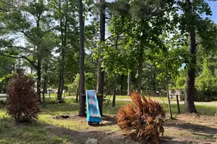 26327 Pinion Creek Rd, Magnolia, TX 77355 - Photo 5