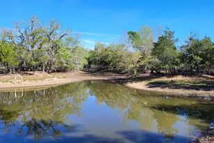1689 FM2104, Paige, TX 78659 - Photo 1
