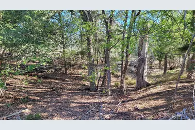 1689 Fm 2104, Paige, TX 78659 - Photo 5