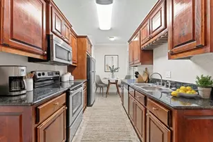 2255 Braeswood Park Dr, Houston, TX 77030 - Photo 3