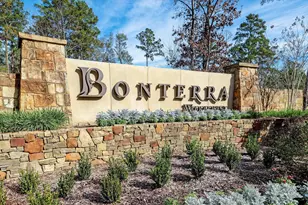 108 Pink Clover Ct, Montgomery, TX 77316 - Photo 31