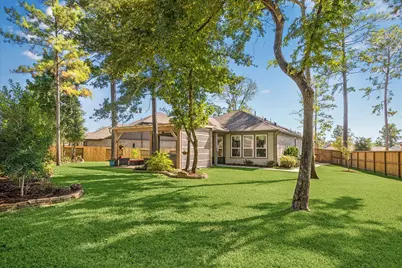 108 Pink Clover Court, Montgomery, TX 77316 - Photo 1