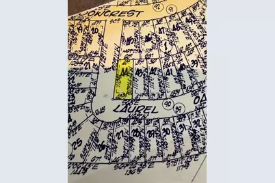 Tbd44 Laurel Oak, Trinity, TX 75862 - Photo 1